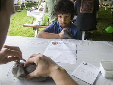 Tesh Mani, 6, watches while his elephant, Ellie, gets stitched up by a medic at the CHEO Teddy Bear picnic. This was the third time that Ellie had needed CHEO care. Three years ago it was a broken leg, while two years ago, it was drastic weight loss. Ellie still couldn't keep the pounds on, however, and returned this year for more stuffing.