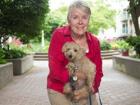 Sharon Cook's puppy, Walter, become very sick and needed emergency care after he accidentally ate cannabis that had been discarded in an Ottawa park. He's OK now.