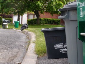 The city's 2019 waste-diversion rate for curbside collection was 49 per cent.