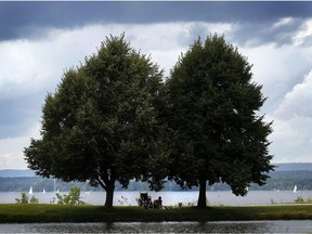 Humid start to October, with thunderstorms in the forecast.