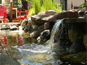 James Stone's Kanata backyard.