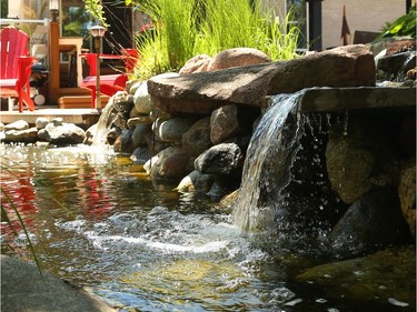 James Stone's Kanata backyard.