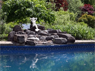 Suzanne Carr's garden in Alta Vista.