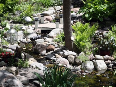 Suzanne Carr's garden in Alta Vista.