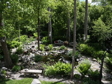 Suzanne Carr's garden in Alta Vista.
