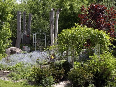 Suzanne Carr's garden in Alta Vista.