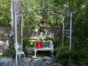 Suzanne Carr's garden in Alta Vista.