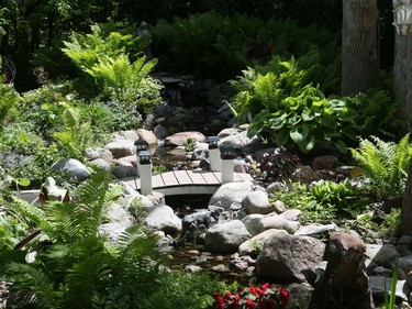 Suzanne Carr's garden in Alta Vista.