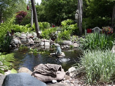 Suzanne Carr's garden in Alta Vista.