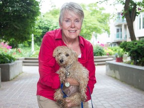 Sharon Cook's puppy, Walter, needed emergency intravenous after he apparently ate a butt of cannabis in a park.