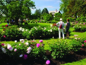 The Ornamental Gardens at Ottawa's Central Experimental Farm.