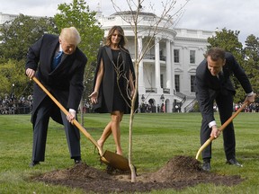 In this file photo taken on April 23, 2018, Donald Trump and French President Emmanuel Macron plant a tree watched by Trump's wife Melania on the grounds of the White House in Washington. (JIM WATSON/AFP/Getty Images)