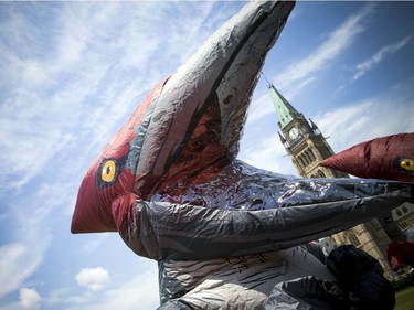 Pterosaurs have recently invaded the Canadian Museum of Nature. Flying reptiles are the stars of our special summer exhibition, Pterosaur: Flight in the Age of Dinosaurs. The pterosaurs were spotted making their way around downtown Ottawa Saturday July 6, 2019, trying to make some new friends.