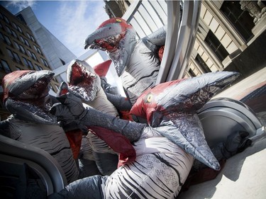 Pterosaurs have recently invaded the Canadian Museum of Nature. Flying reptiles are the stars of our special summer exhibition, Pterosaur: Flight in the Age of Dinosaurs. The pterosaurs were spotted making their way around downtown Ottawa Saturday July 6, 2019, trying to make some new friends.