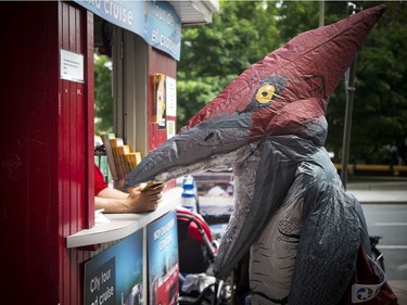 Pterosaurs have recently invaded the Canadian Museum of Nature. Flying reptiles are the stars of our special summer exhibition, Pterosaur: Flight in the Age of Dinosaurs. The pterosaurs were spotted making their way around downtown Ottawa Saturday July 6, 2019, trying to make some new friends.