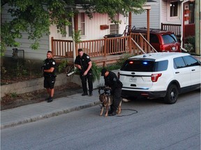 Gatineau police use a canine unit to search Rue Laval following a homicide on Tuesday night.