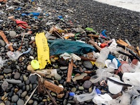 (FILES) In this file photo taken on June 5, 2018 volunteers clean up plastic waste on a beach.