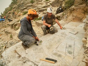 Dr. Jean-Bernard Caron and Dr. Maydianne Andrade are shown at the quarry site discussing newly revealed fossils in this handout image.