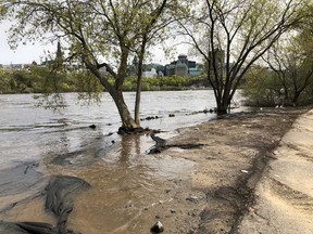 National Capital Commission
@CCN_NCC
·
30m
Here is the long awaited moment finally arrived. The Voyageurs Trail is now completely open! 🙌

Get out your bikes, roller skates or sneakers and the scenic trail is yours. Thank you all for your patience! (link: http://ow.ly/6SWj50vd3f7) ow.ly/6SWj50vd3f7 # velogat #Gatineau