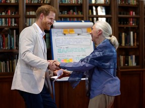 Prince Harry, Duke of Sussex and Dr Jane Goodall hold hands as he attends Dr. Jane Goodall's Roots & Shoots Global Leadership Meeting at Windsor Castle on July 23, 2019 in Windsor, England.