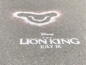 One of The Lion King graffiti ads stencilled onto Ottawa sidewalks and pathways. Twitter