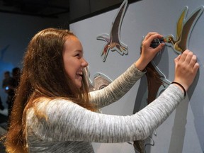 Museum of Nature Pterosaur exhibit dinosaurs