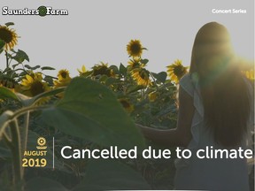 Saunders Farm Sunflower Festival cancelled