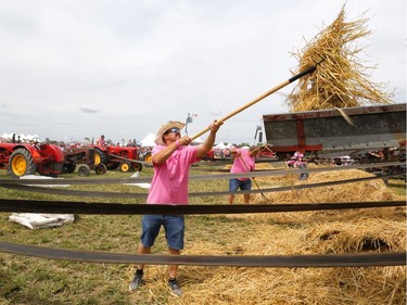 Jeremie Seguin of St. Isidore feeds hay into a thresher as 250 threshing machines attempt to break the world record by operating simultaneously on the same site in St. Albert on Sunday, August 11, 2019.
