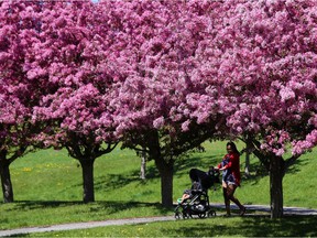 What's not to love about urban trees?