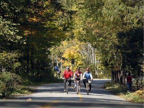 Files: October leaves are starting to show colour in the capital .