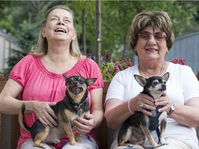 Christine Rideout (left) and Charlie meet up with Frances Hulett and Hilton. Both dogs are rescue chihuahuas – and good friends.
