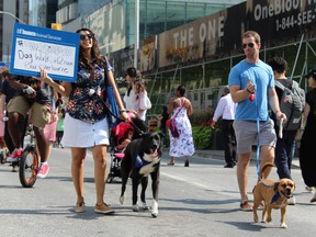 Walking, biking and generally having fun on the street is the city of Ottawa's downtown pedestrian-friendly program goal.