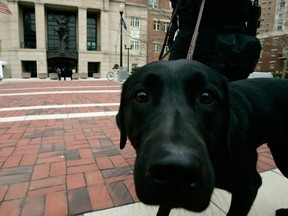 FILE PHOTO: Canine Miracle patrols with its handler, officer John Childs III, on March 6, 2006 in Alexandria, Virginia.