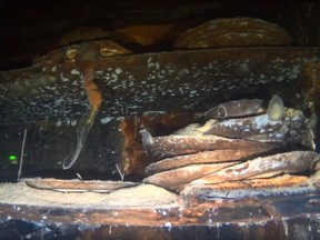 Flatware are seen on shelving in the interior of the HMS Terror shipwreck, in an undated handout still image taken from video footage, in Terror Bay, Nunavut.