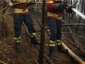 FILE PHOTO: Firefights battle a forest fire.