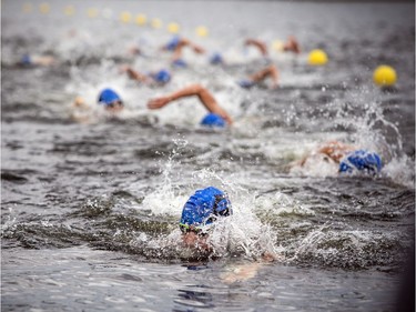Swimmers make their way back to the dock in the Rideau Canal during the event on Saturday.