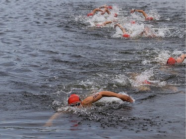 Swimmers make their way back to the dock in the Rideau Canal.