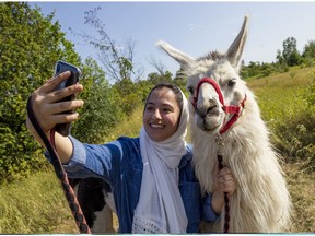 Ashaimwa Alomari takes a selfie with 'Duke' the llama at the Jock River Alpaca & Llama farm in Richmond, Ontario.  August 2, 2019. Errol McGihon/Postmedia