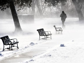 A hearty soul braces against winds, some gusting up to 50 mph, at Culler Lake in Frederick, Maryland, on Jan. 30, 2019 MUST CREDIT: Washington Post photo by Katherine Frey