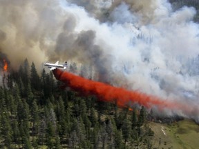A Forest Services bomber drops fire retardant over a fire four kilometres east of Alexis Creek Cache  near Williams Lake, BC, July 30, 2010.