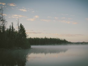 FILE: A lake and trees.