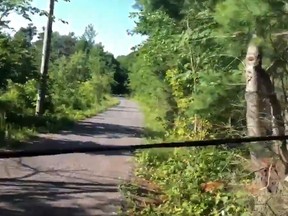 A phone cord was discovered stretched across a rural trail on the weekend.