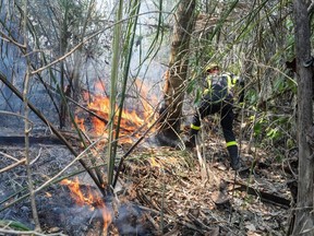 In this handout picture released by France's Ministry of Europe and Foreign Affairs, a french firefighter combats a fire near San Ignacio de Velasco, Santa Cruz, Bolivia, south of the Amazon basin, on September 19, 2019. - Wildfires in Bolivia have razed more than four million hectares (10 million acres) of forest and grassland since August, an NGO warned Wednesday, as a state of emergency spread to the country's northeast.