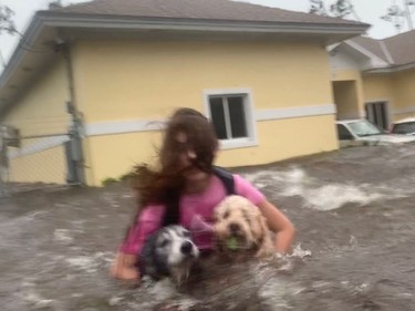 Julia Aylen wades through waist deep water carrying her pet dogs as she is rescued from her flooded home during Hurricane Dorian in Freeport, Bahamas, Tuesday.