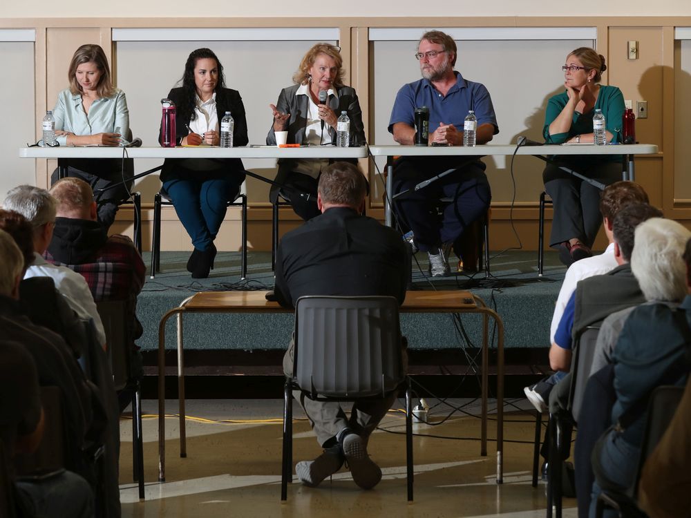 Despite a contentious week, KanataCarleton candidates debate is tame
