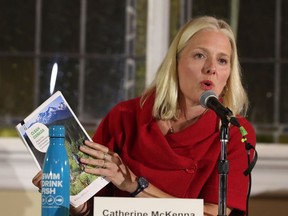 Ottawa Centre Liberal candidate Catherine McKenna says her party has done a lot to tackle climate change and will do still more.