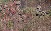 Members from November Company, 3 Royal Canadian Regiment perform section attacks and urban drills as part of testing for the new potential uniform pattern. Photo By: Aviator Melissa Gloude, Garrison Imaging Petawawa