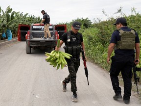 Vigilantes are seen during a patrol at banana plantations in the municipality of Coahuayana, in Michoacan state, Mexico August 22, 2019.