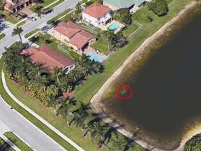 A screenshot of a Google Earth which shows Moldt's calcified car at the in the water near Moon Circle in Florida.