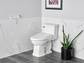 By combining two functions, bidet toilets save space.